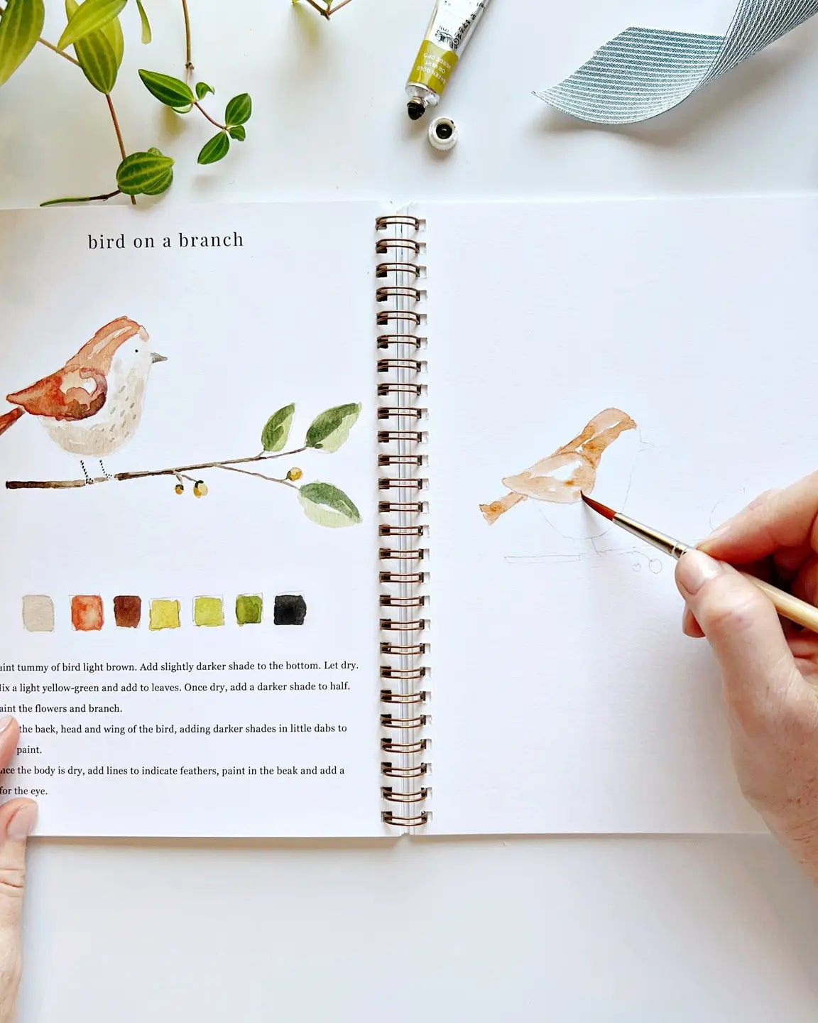 Animals Watercolor Workbook