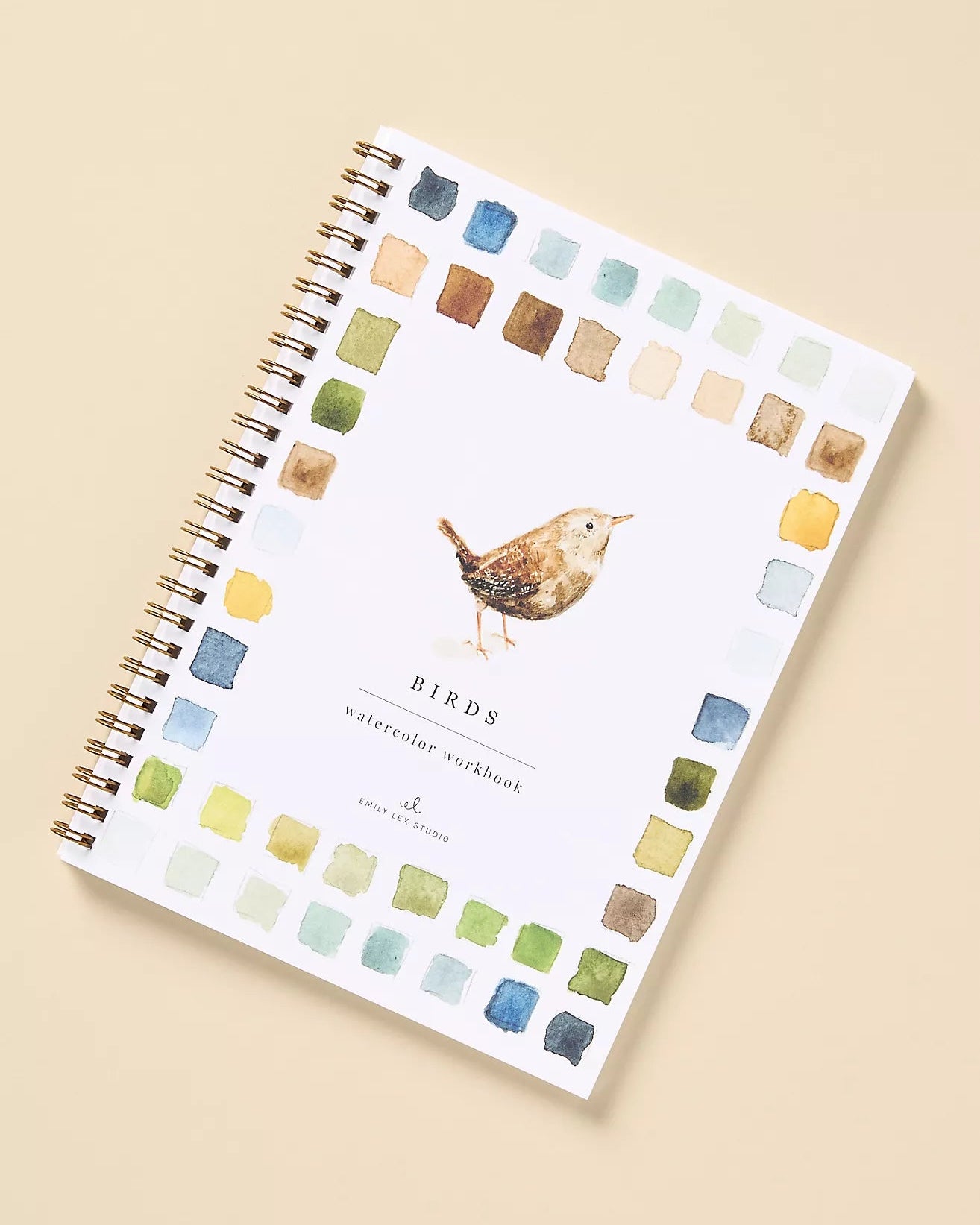 Birds Watercolor Workbook