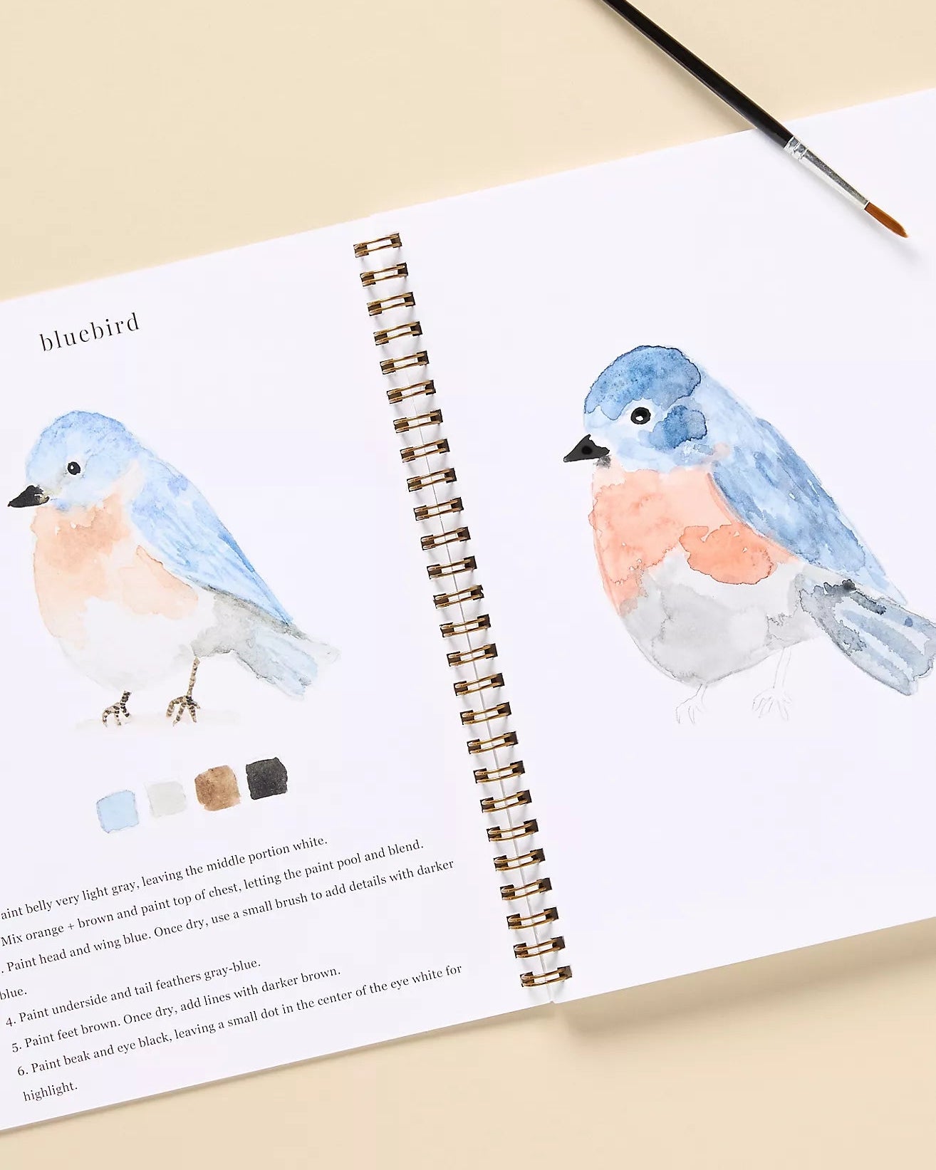 Birds Watercolor Workbook