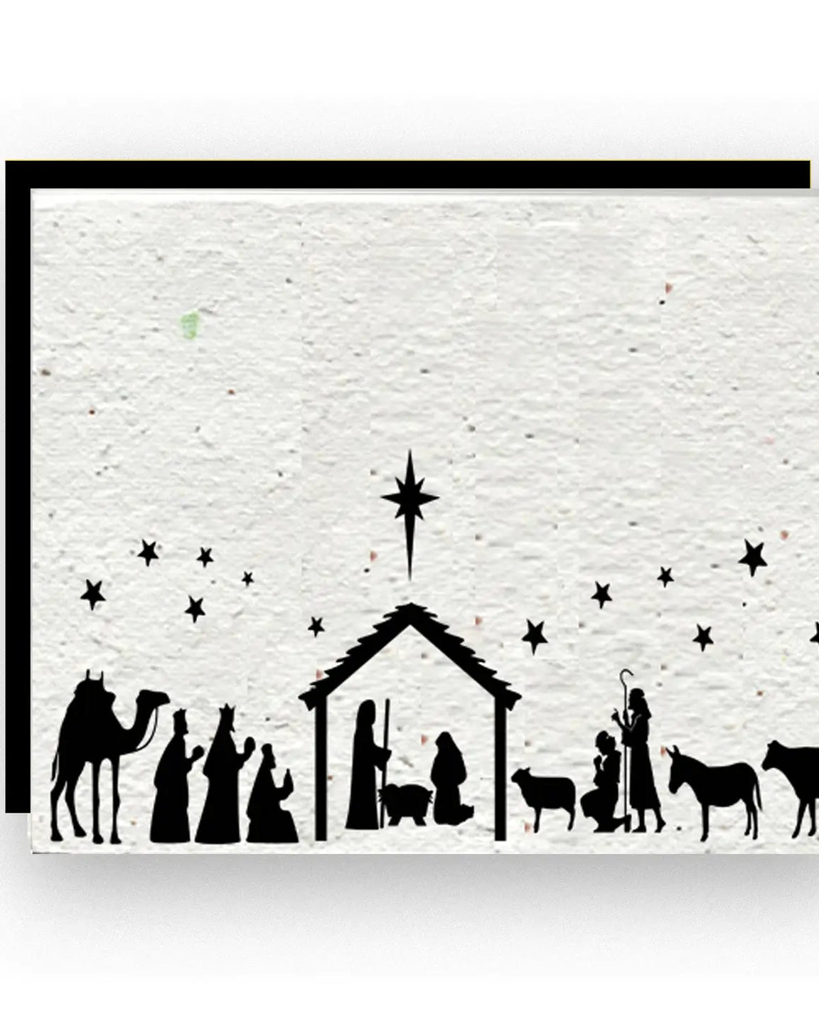 Nativity Seed Paper Greeting Card