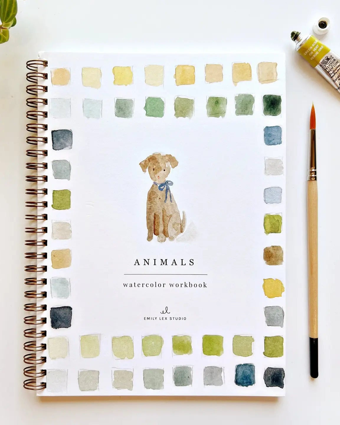 Animals Watercolor Workbook