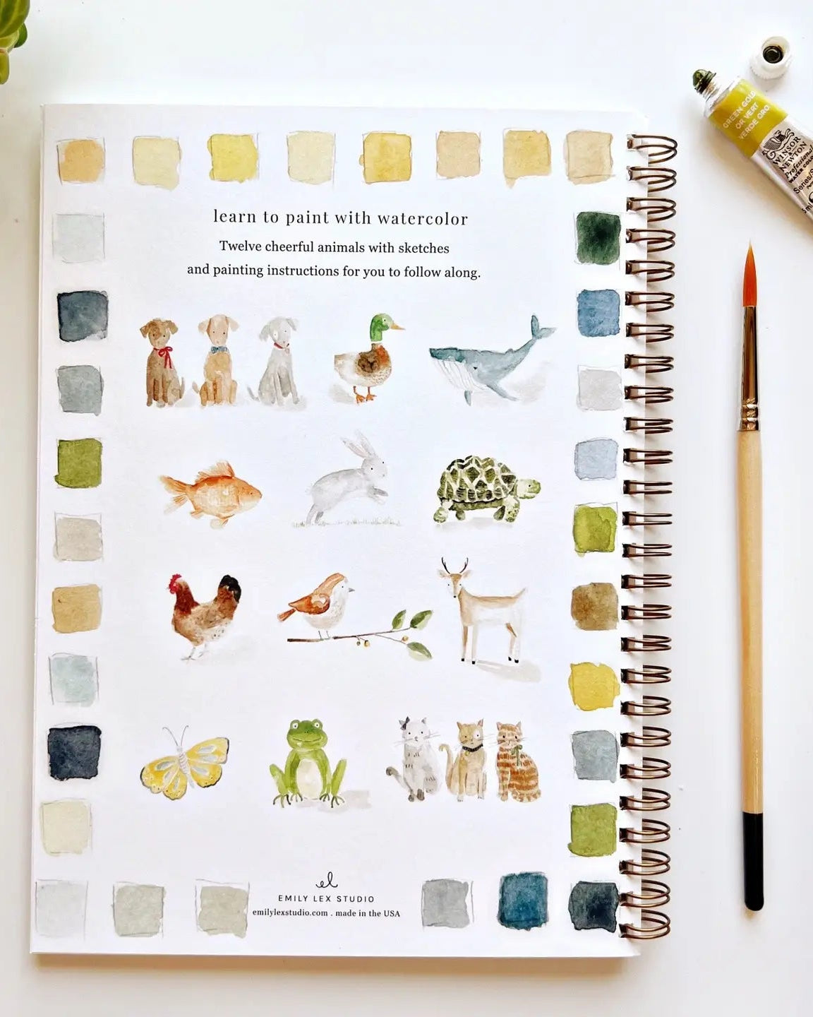 Animals Watercolor Workbook